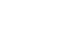 Img Logo Wsa