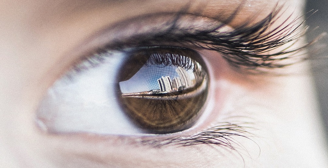 Estudo descobre que perda de proteína “juventude” pode levar ao envelhecimento do olho