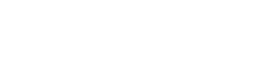Img Logo Anamed White